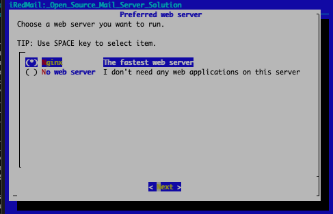 Select the NGINX web server